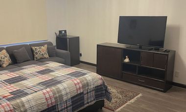 Linda casa en Pedregal de San Angel