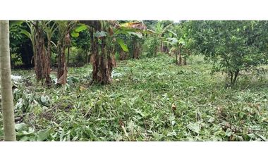 Venta de Terreno en Baru