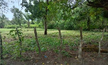 Venta de Terreno en Baru