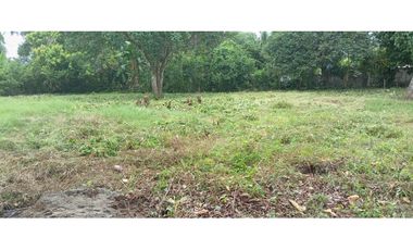 Venta de Terreno en Baru