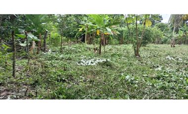 Venta de Terreno en Baru