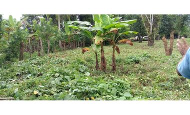 Venta de Terreno en Baru