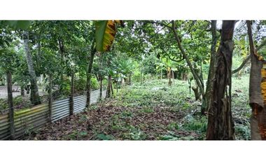 Venta de Terreno en Baru