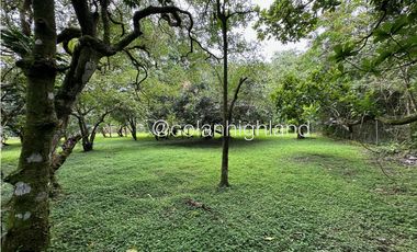 Se Vende Terreno de 6000 m2 en el Valle