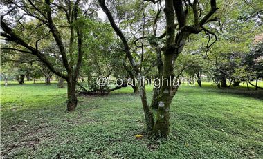 Se Vende Terreno de 6000 m2 en el Valle