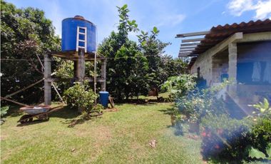 Se vende finca de 7,731m2 en La Colorada, Chorrera