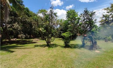 Se vende finca de 7,731m2 en La Colorada, Chorrera