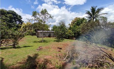 Se vende finca de 7,731m2 en La Colorada, Chorrera