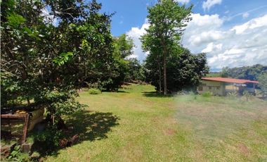 Se vende finca de 7,731m2 en La Colorada, Chorrera