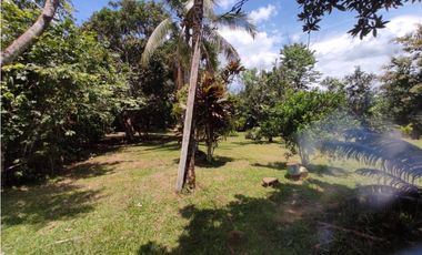 Se vende finca de 7,731m2 en La Colorada, Chorrera