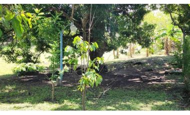VENTA DE LOTE EN SAN CARLOS MUY CERCA DE PLAYAS, ÚNICA OPORTUNIDAD