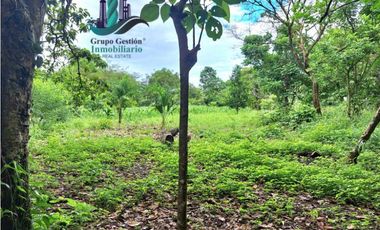 VENDO 4 HECTARES Y MEDIA INTERAMERICANA CERCA A FRONTERA