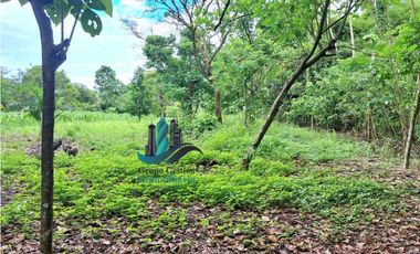 VENDO 4 HECTARES Y MEDIA INTERAMERICANA CERCA A FRONTERA