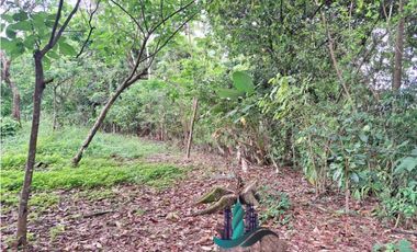 VENDO 4 HECTARES Y MEDIA INTERAMERICANA CERCA A FRONTERA