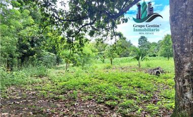 VENDO 4 HECTARES Y MEDIA INTERAMERICANA CERCA A FRONTERA