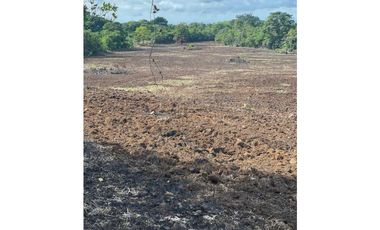 VENDO 4 HECTARES Y MEDIA INTERAMERICANA CERCA A FRONTERA