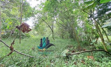 VENDO 4 HECTARES Y MEDIA INTERAMERICANA CERCA A FRONTERA