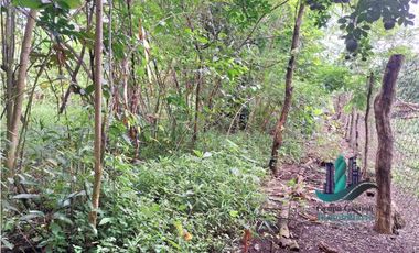 VENDO 4 HECTARES Y MEDIA INTERAMERICANA CERCA A FRONTERA