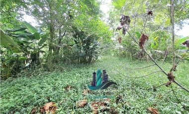 VENDO 4 HECTARES Y MEDIA INTERAMERICANA CERCA A FRONTERA