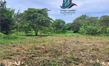 VENDO 4 HECTARES Y MEDIA INTERAMERICANA CERCA A FRONTERA