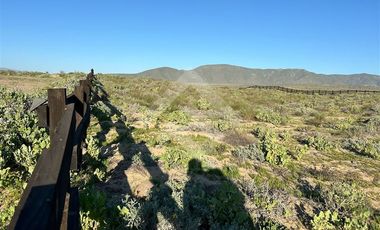 Sitio en Venta en Morrillos Norte