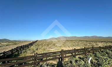 Sitio en Venta en Morrillos Norte