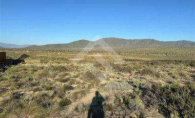 Sitio en Venta en Morrillos Norte
