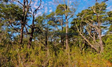 Parcela en Venta en PARCELA CAMINO A ENSENADA/ ESPECTACULARES VISTAS A VOLCANES