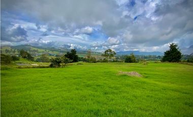 Venta Lote Parcelacion Alto Palmas (Envigado)