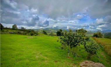 Venta Lote Parcelacion Alto Palmas (Envigado)
