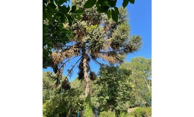 VENTA PARCELA CON CASA LINARES URBANA / RURAL