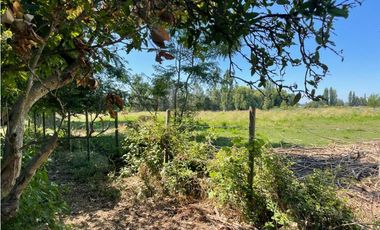 VENTA PARCELA CON CASA LINARES URBANA / RURAL