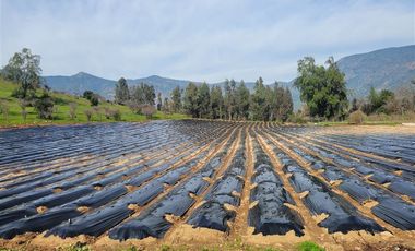 Parcela en Venta en LOS ALMENDROS