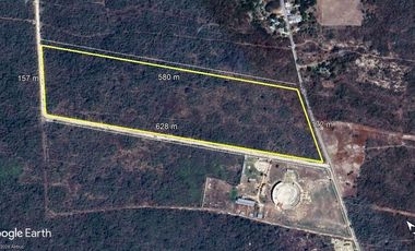 Terreno en venta Mérida Yucatán, San Antonio Tehuitz Kanasín