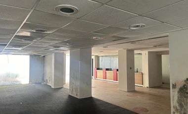 POLANCO LOCAL COMERCIAL EN RENTA