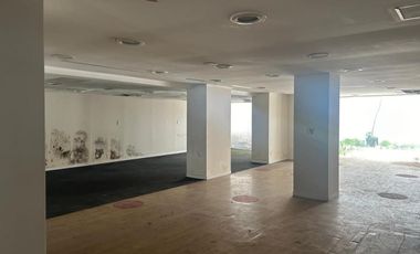 POLANCO LOCAL COMERCIAL EN RENTA