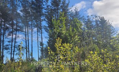 Algarrobo, Tunquen Oportunidad