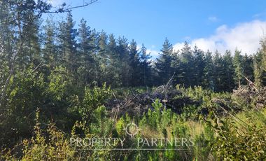 Algarrobo, Tunquen Oportunidad