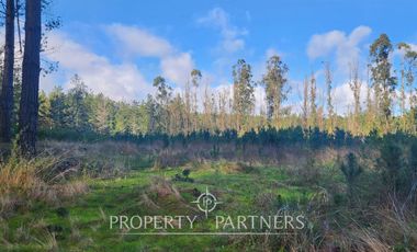 Algarrobo, Tunquen Oportunidad