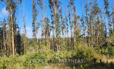 Algarrobo, Tunquen Oportunidad