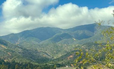 Lo Orozco, Gran Parcela de 2 ha. con Maravillosa Vista al Valle.