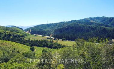 Lo Orozco, Gran Parcela de 2 ha. con Maravillosa Vista al Valle.