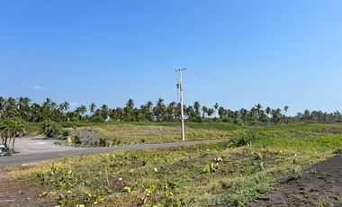TERRENO EN VENTA EN CUYUTALN