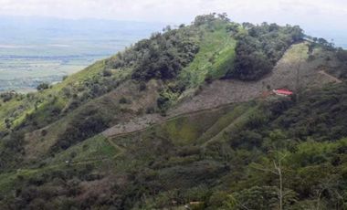 VENTA de FINCAS en OBANDO VALLE