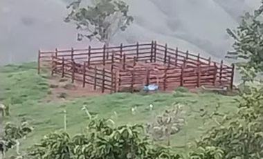 VENTA de FINCAS en OBANDO VALLE