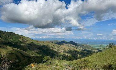 VENTA de FINCAS en OBANDO VALLE