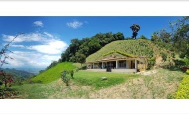 VENTA de FINCAS en OBANDO VALLE