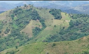 VENTA de FINCAS en OBANDO VALLE