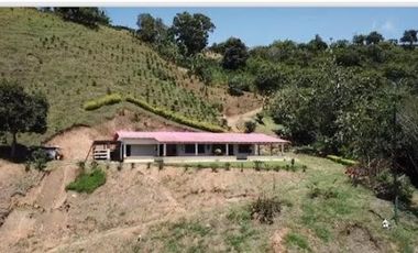 VENTA de FINCAS en OBANDO VALLE