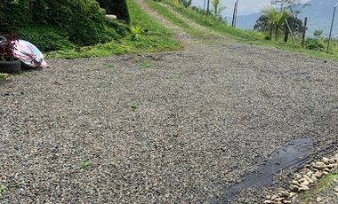 VENTA de FINCAS en DOSQUEBRADAS